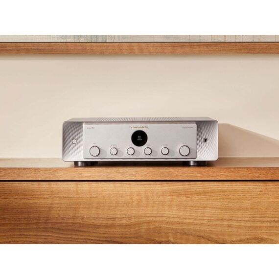 Усилитель MODEL 50 Silvergold, Цвет: Silvergold, изображение 5