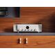 Усилитель MODEL 40n Silvergold, Цвет: Silvergold, изображение 4